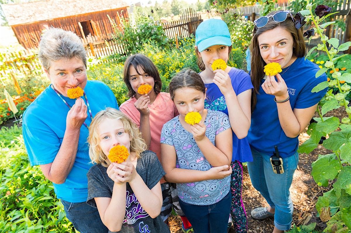 Family-Friendly Solar Garden Kick-Off Celebration