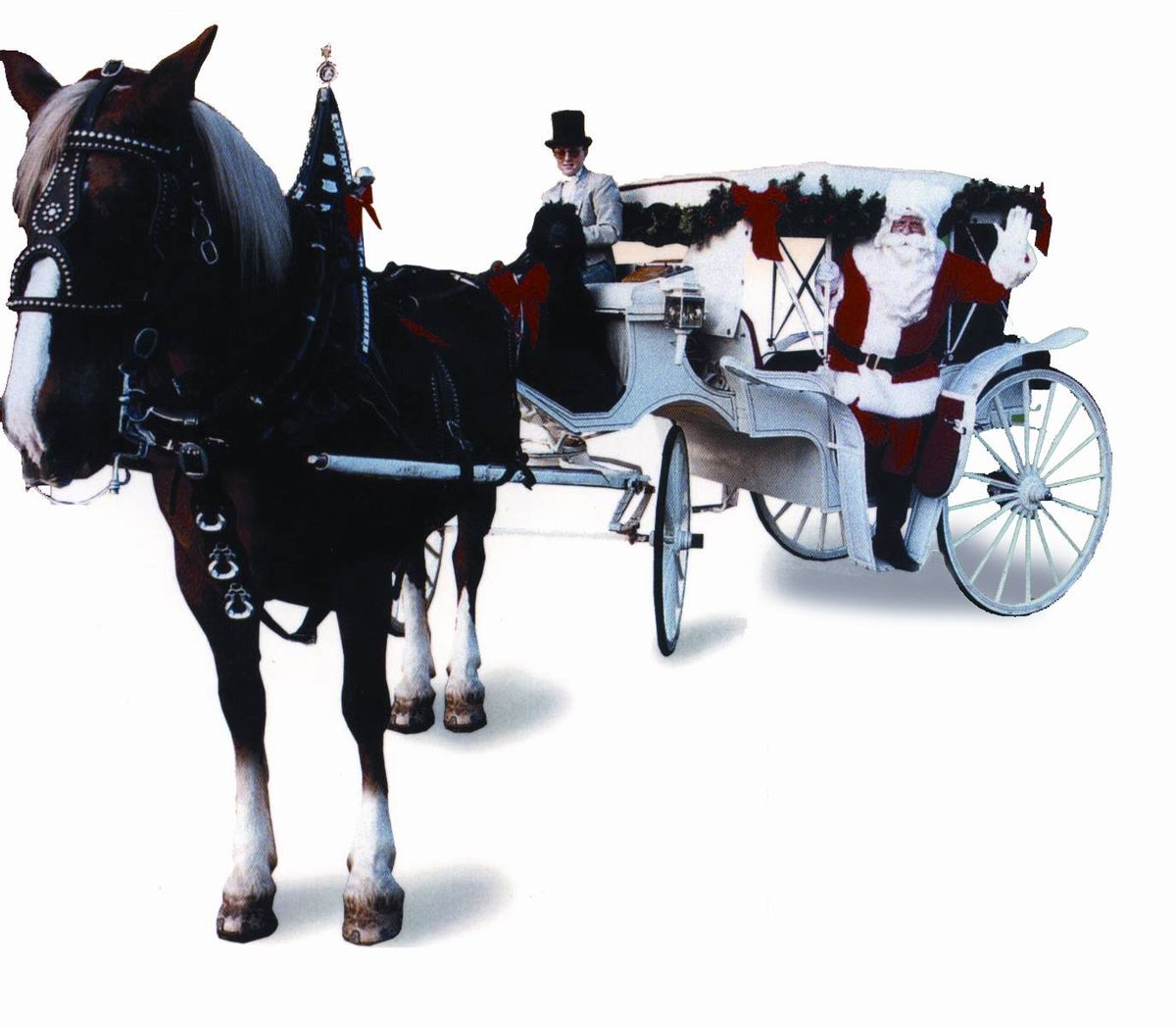 Free Family Carriage Rides