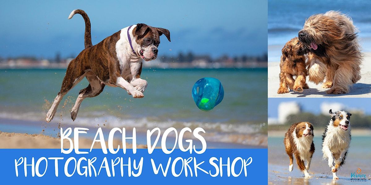 Beach Dogs Photography Workshop (December 2022)