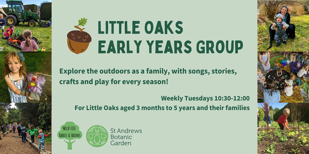 Little Oaks Early Years Group