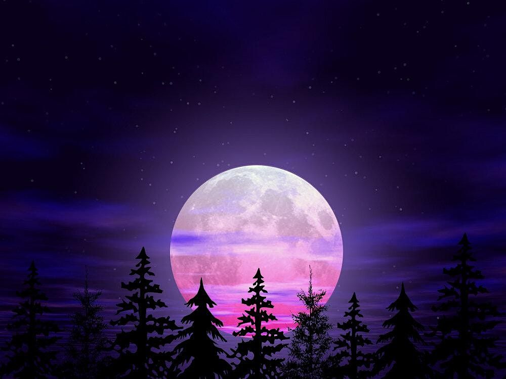 Moonlight Masterpiece Paint and Sip