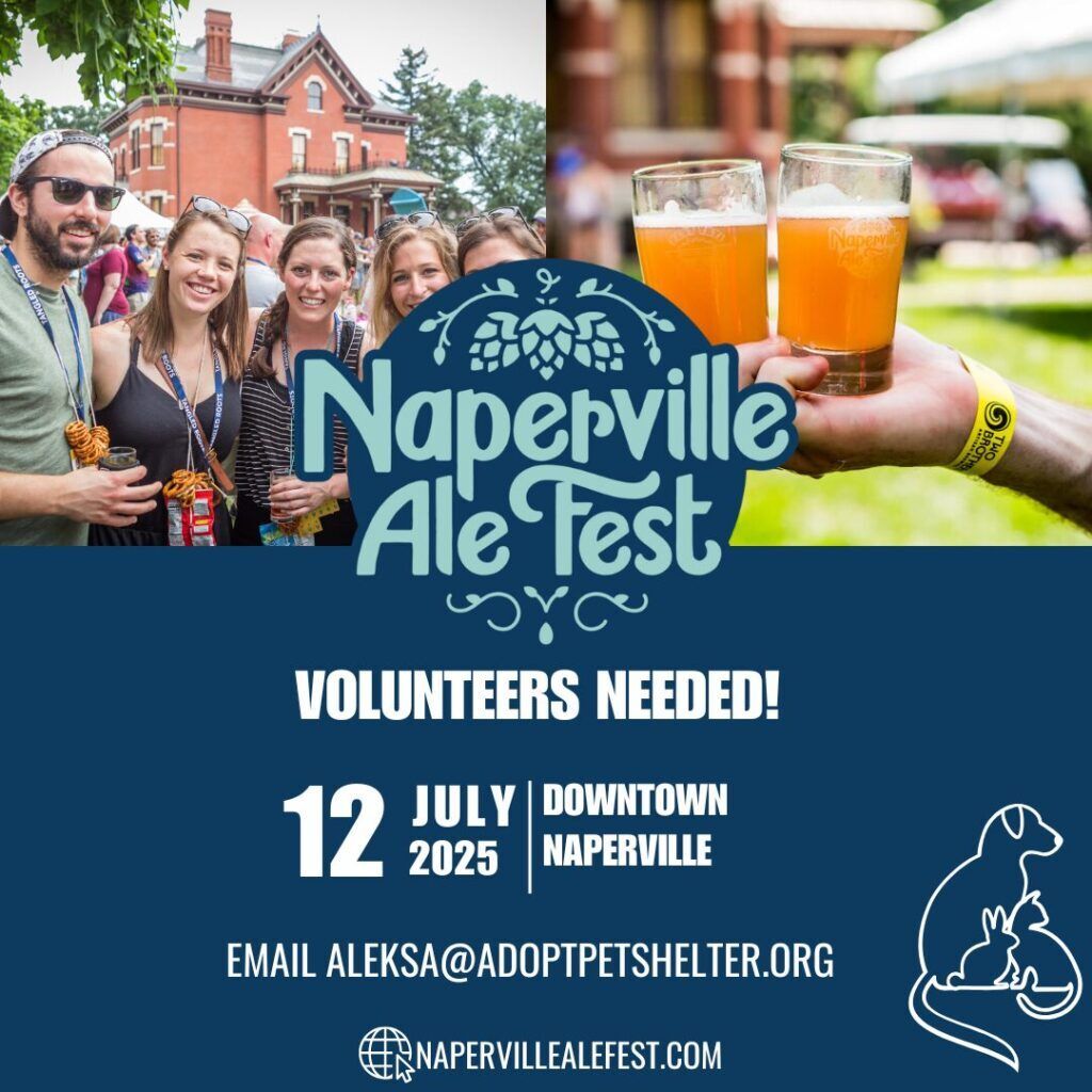 Fest of Ales