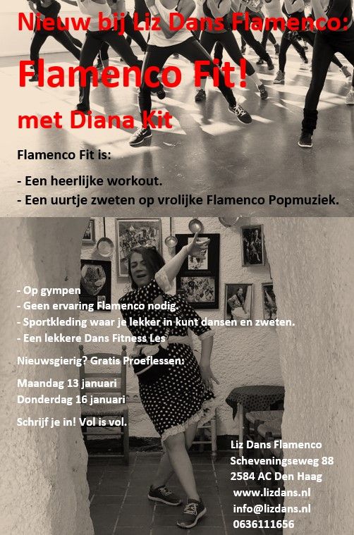 Gratis proefles - Flamenco Fit met Diana Kit