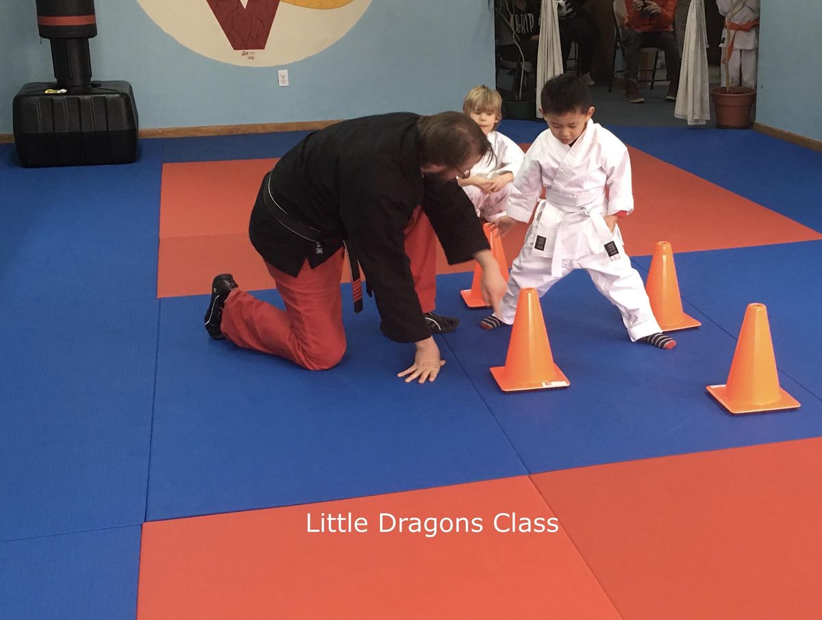 Karate for Kids Introductory Session