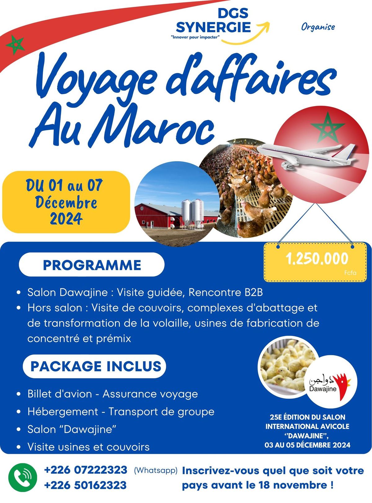 Voyage d'affaires 