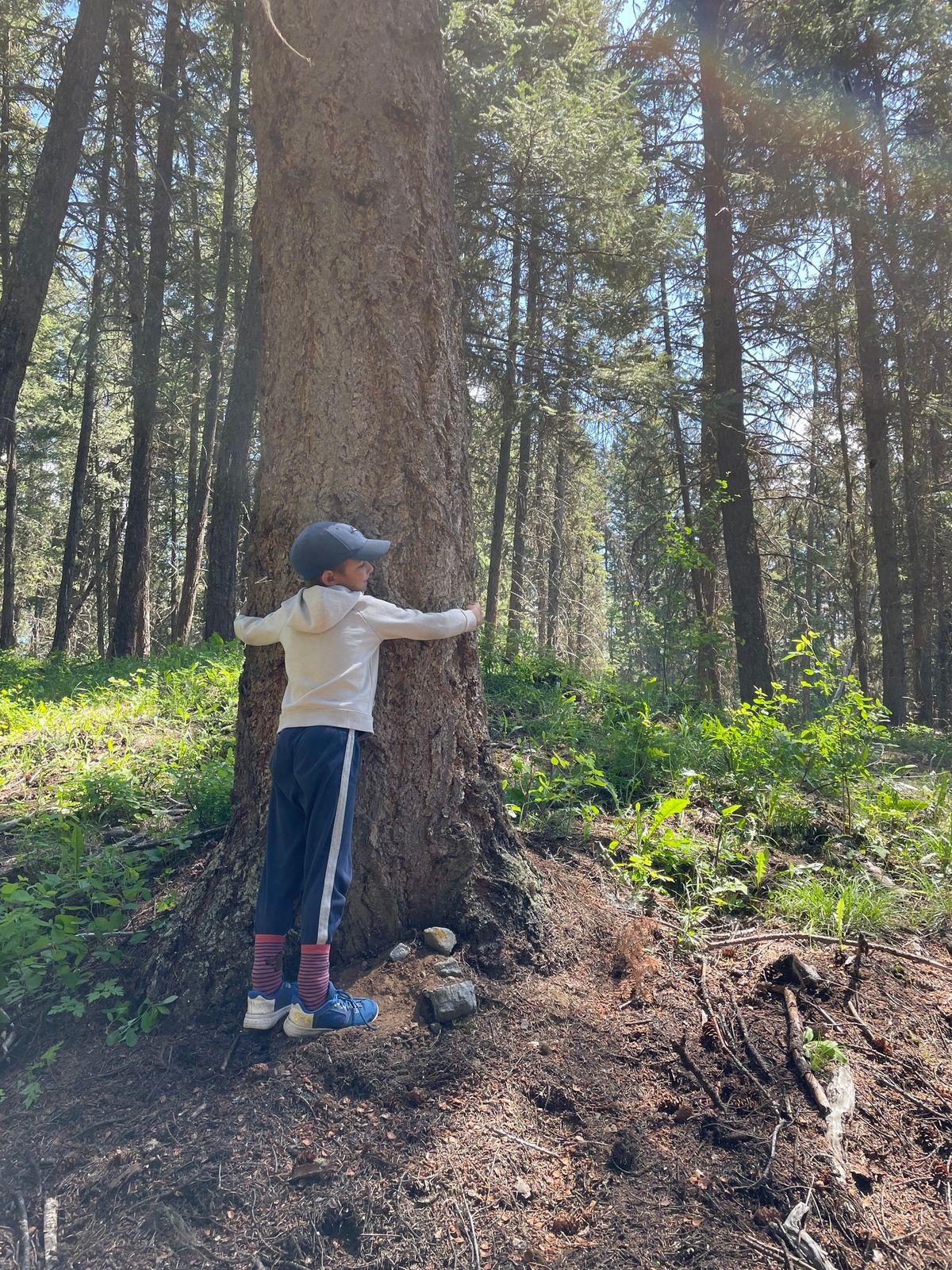 Ages 4-8 Drop-In Programs - Becoming Scientists