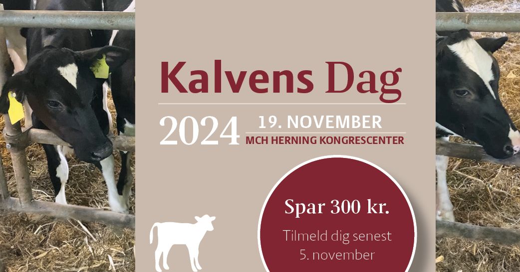 Kalvens Dag 2024 - UDSOLGT