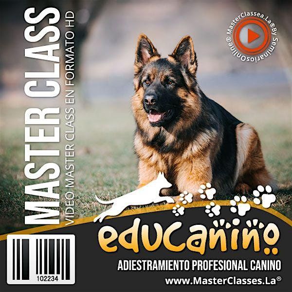 Educanino es Bueno: Todo sobre Adiestramiento Canino