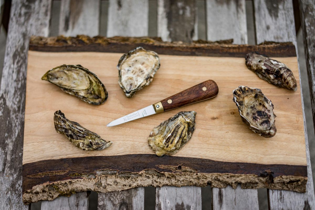 Oysterology 201: A Deep Dive into Oyster Aquaculture + Appreciation