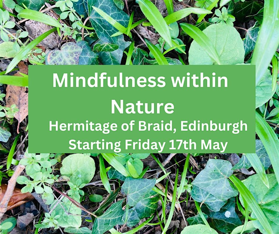 Mindfulness Within Nature