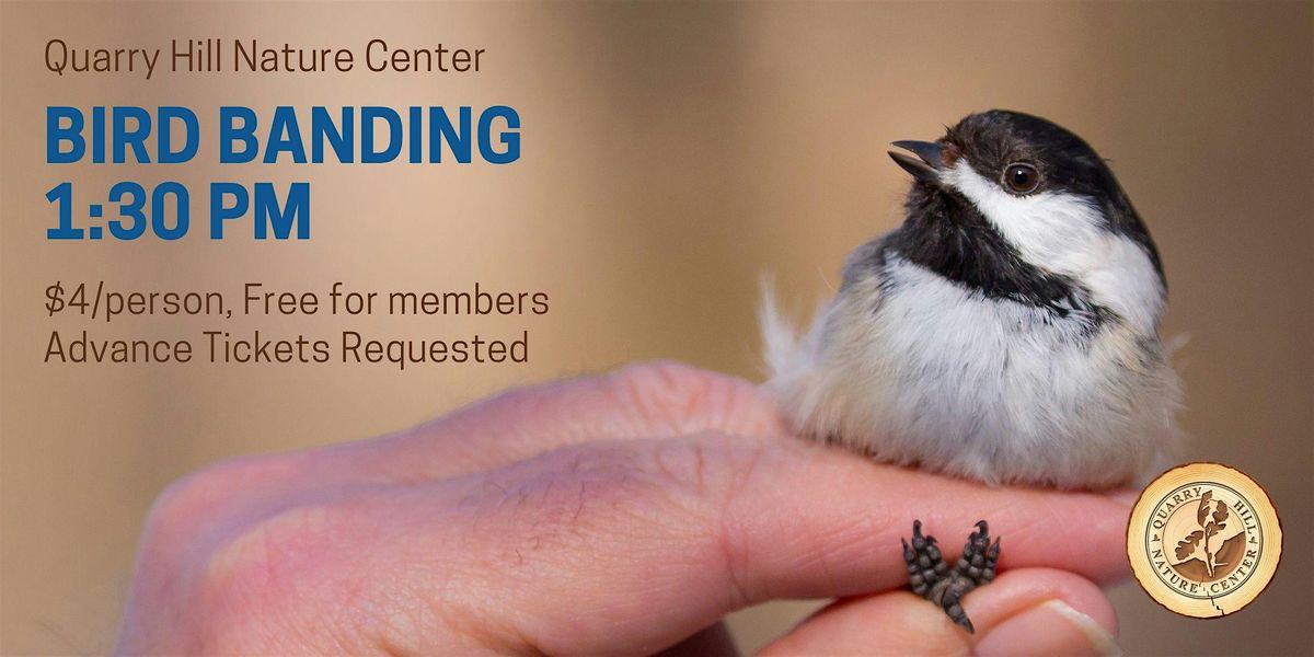 Bird Banding at Quarry Hill