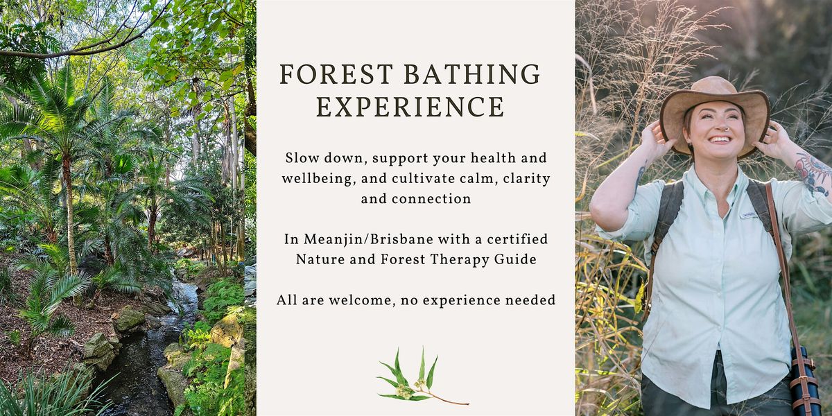 Forest Bathing experience - Brisbane