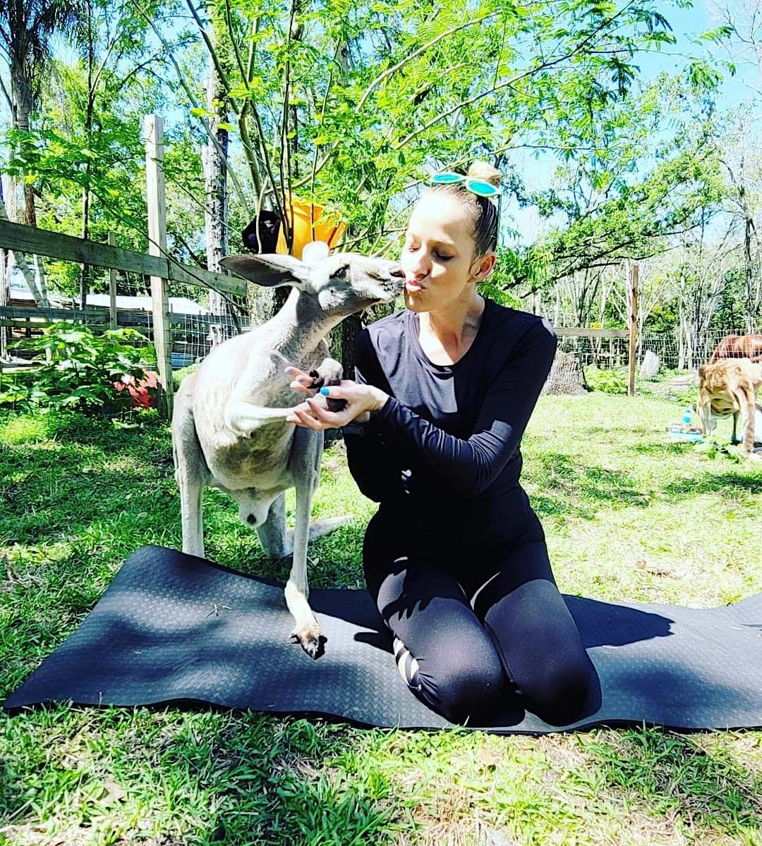 Kangaroo Yoga!