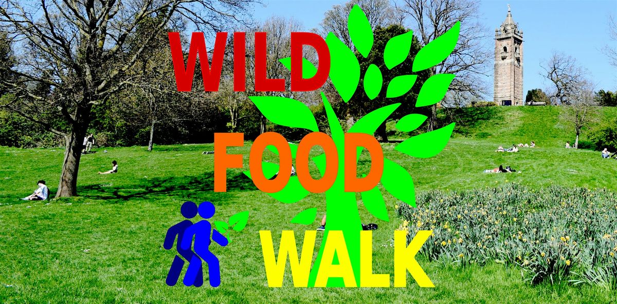 May Brandon Hill Park (Bristol) Wild Food Foraging\/ Forager Walk.