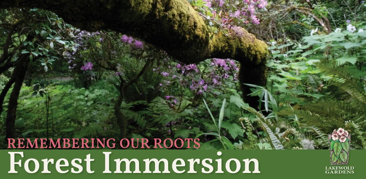 Remembering Our Roots Forest Immersion