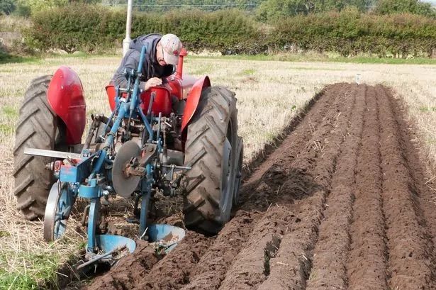 Lanreath and District Ploughing Match