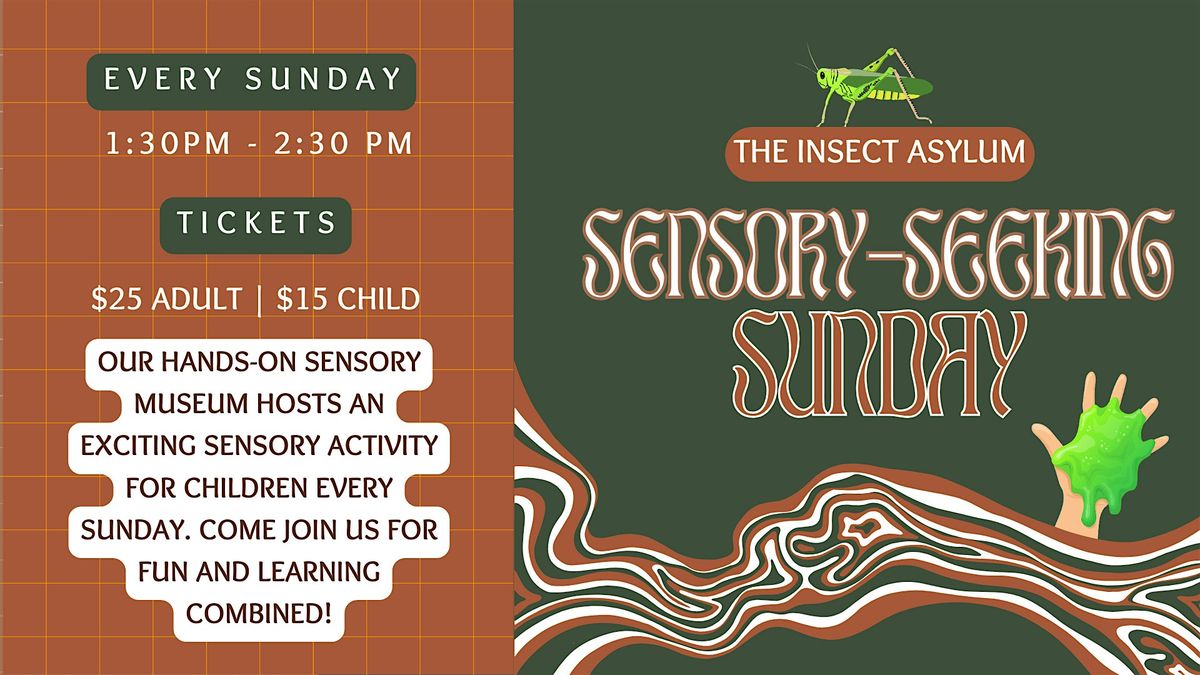 Sensory Seeking Sunday