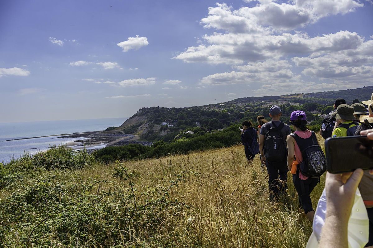 Coastal Jouney: Rye to Hastings Hike - Saturday 20th July2024