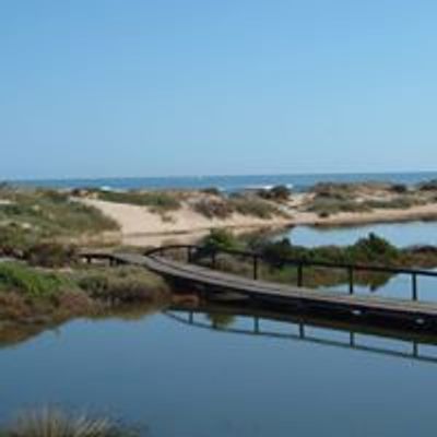 Dongara Markets