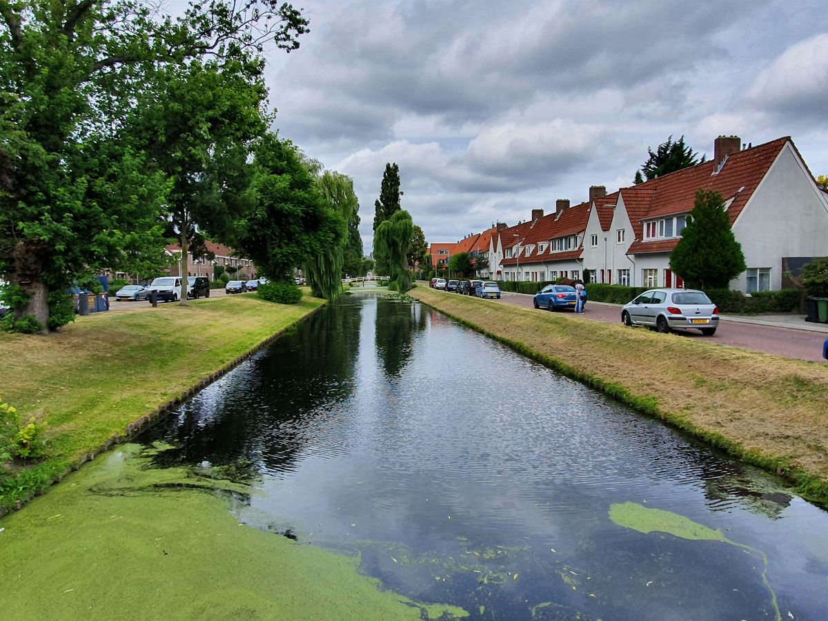 CityTour Vreewijk - Ontdek Rotterdam Anders