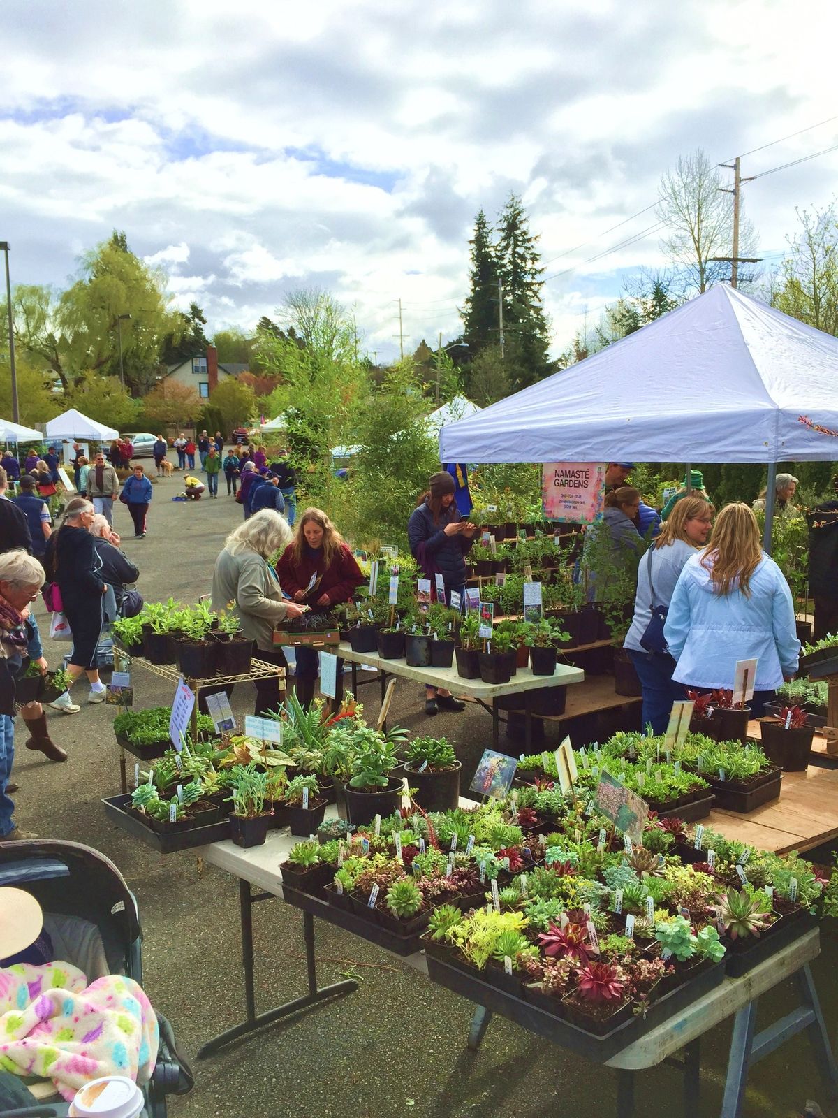 37th Annual Fairhaven Plant & Tree Sale