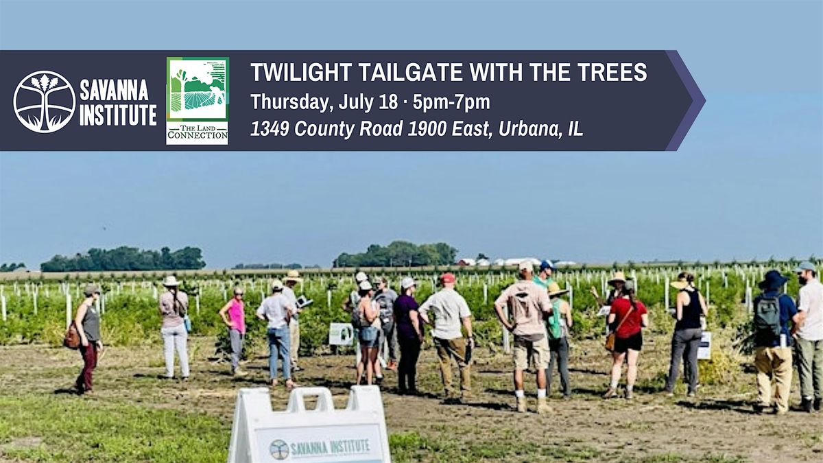 Twilight Tailgate with the Trees