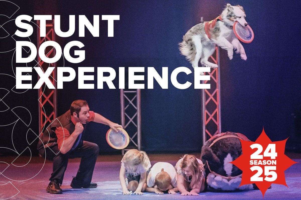 Stunt Dogs (Theater)