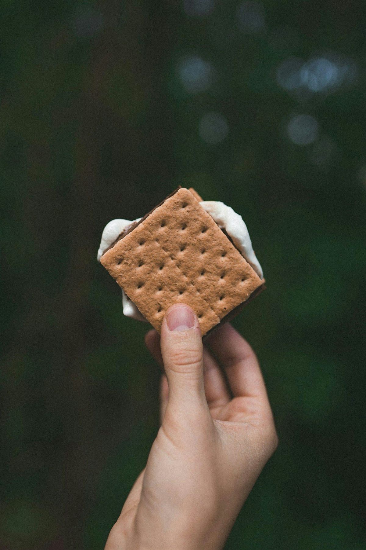 Summer Sweetness: Forest Bathing + S'mores