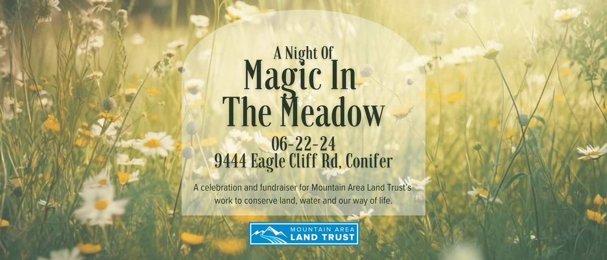 A Night In The Meadow