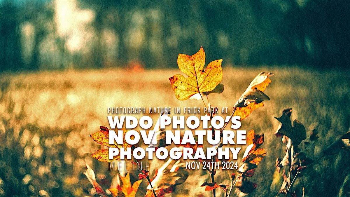 Pittsburgh Nature Photography Meetup - November 2024