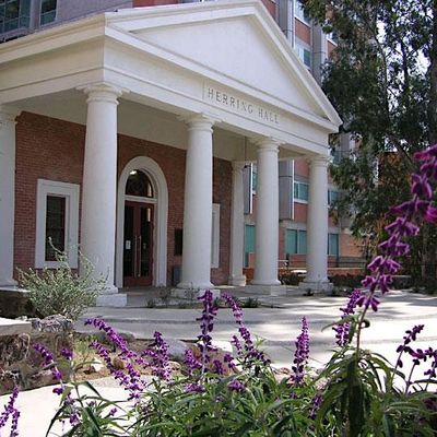 University of Arizona Campus Arboretum Tree Tours