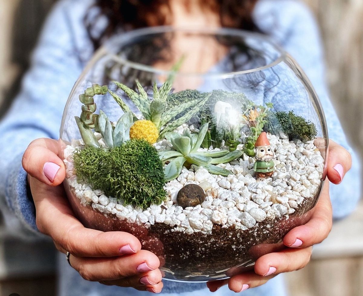 Terrarium Workshop