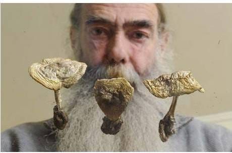 Free event! Paul Kroeger: Mushroom Misadventures