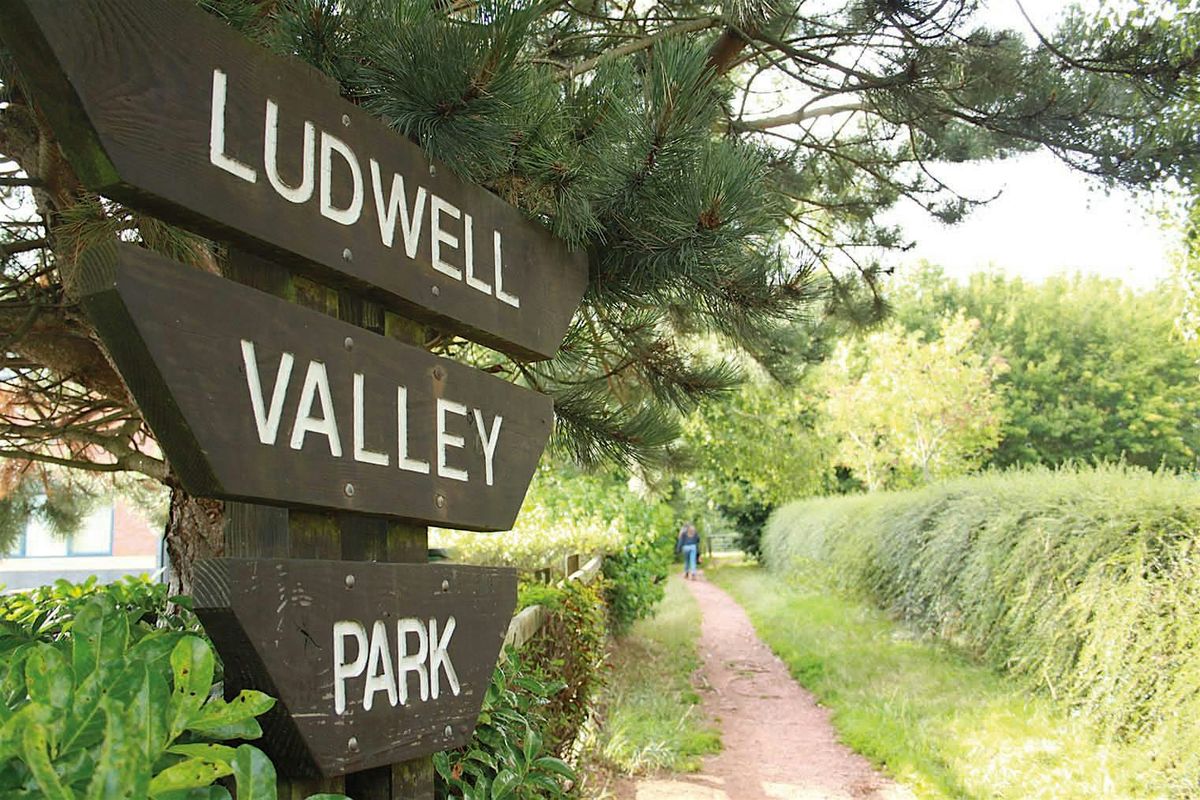 Home Ed Nature Walk in Ludwell Valley Park