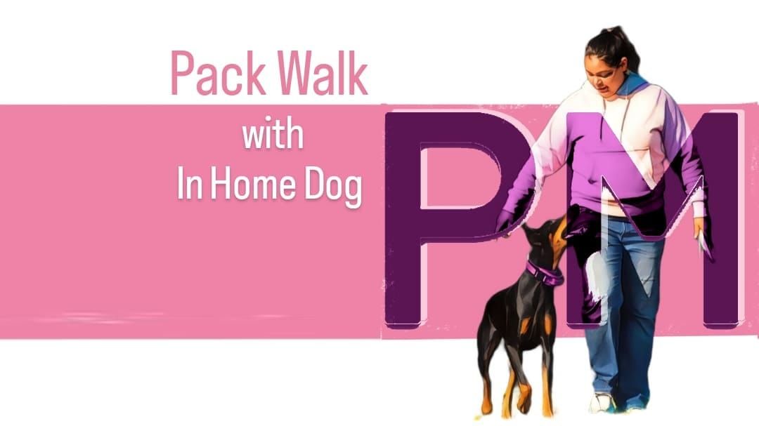 1P Pack Walk: OCTOBER 2024