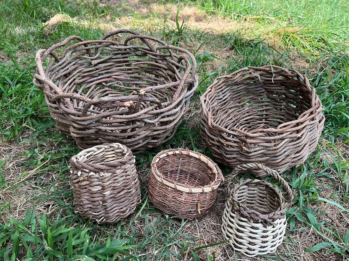 Weave Kudzu Vines Into a Basket