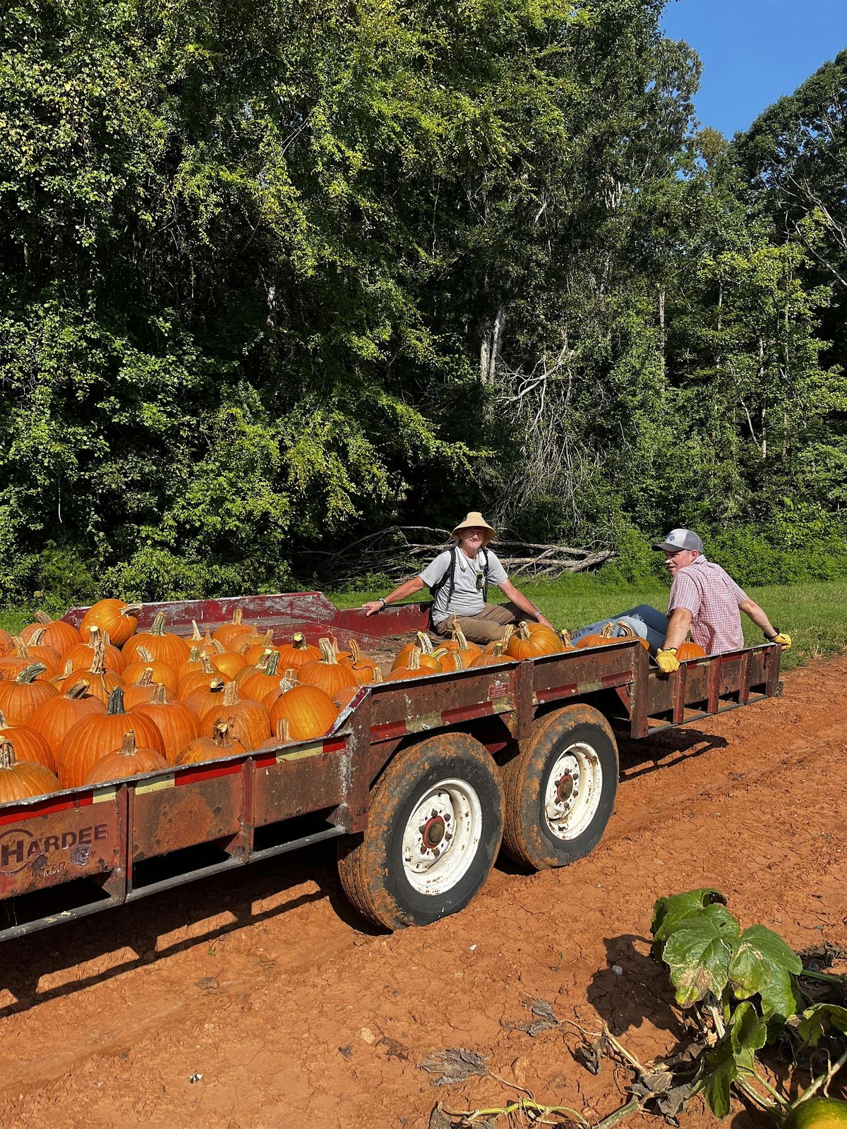 Pumpkin Field Day and Demonstration