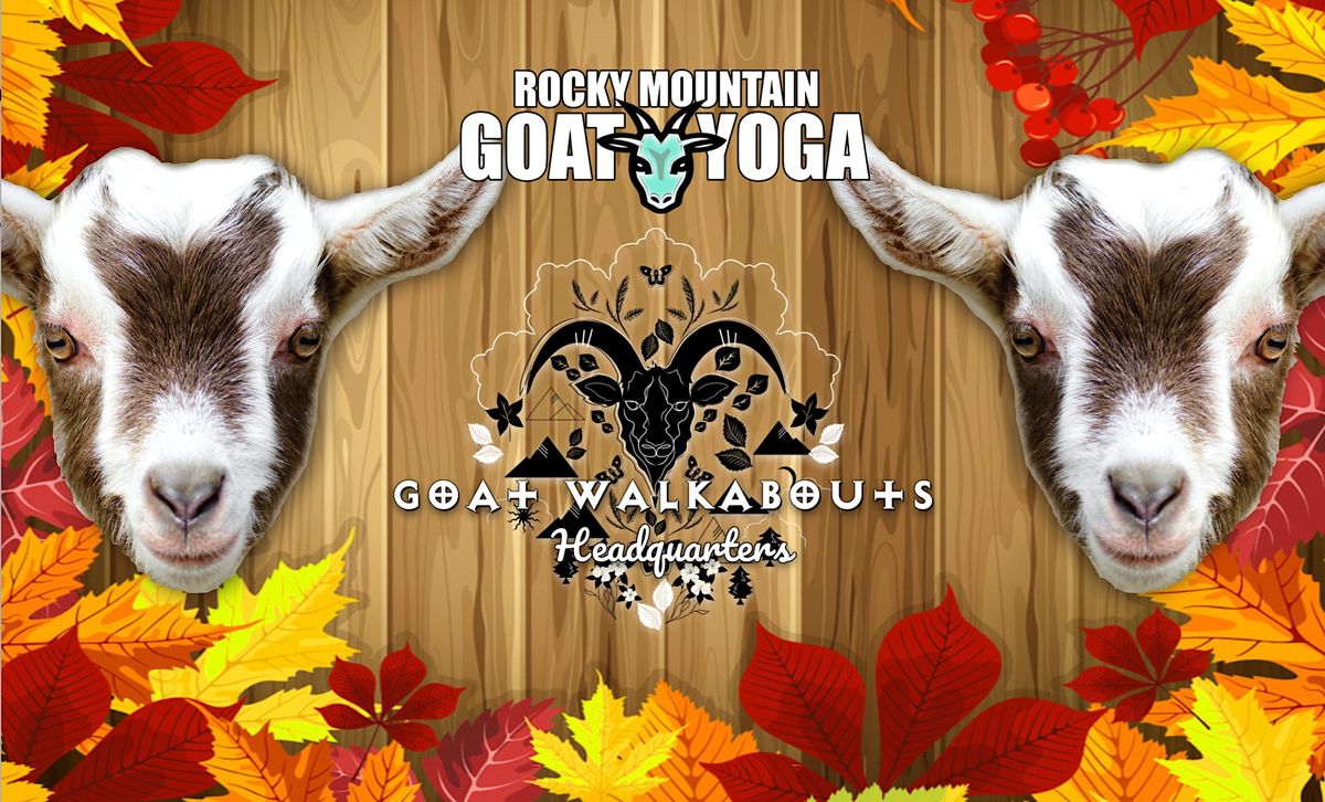 Baby Goat Yoga November 20th (GOAT WALKABOUTS HEADQUARTERS), Goat