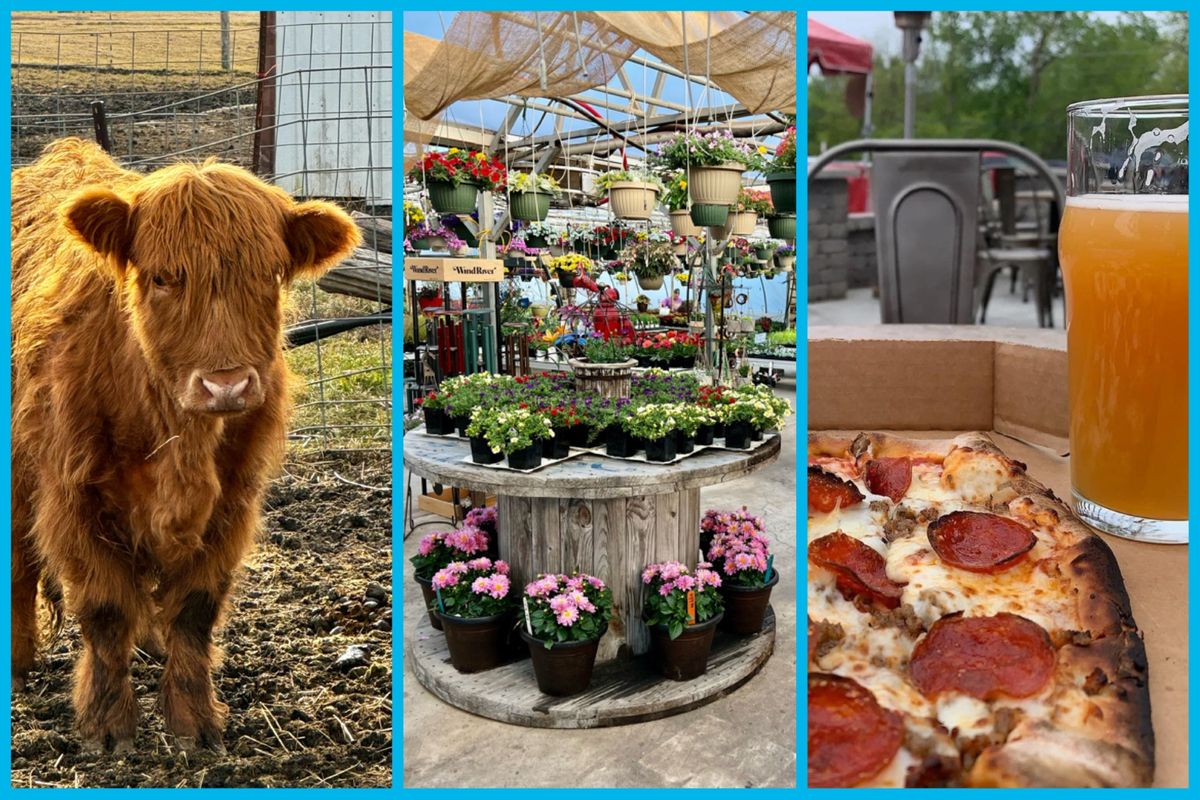 Souba Greenhouse's Spring Celebration with Pleasant Grove Pizza Farm, Mineral Springs Brewery & OTB