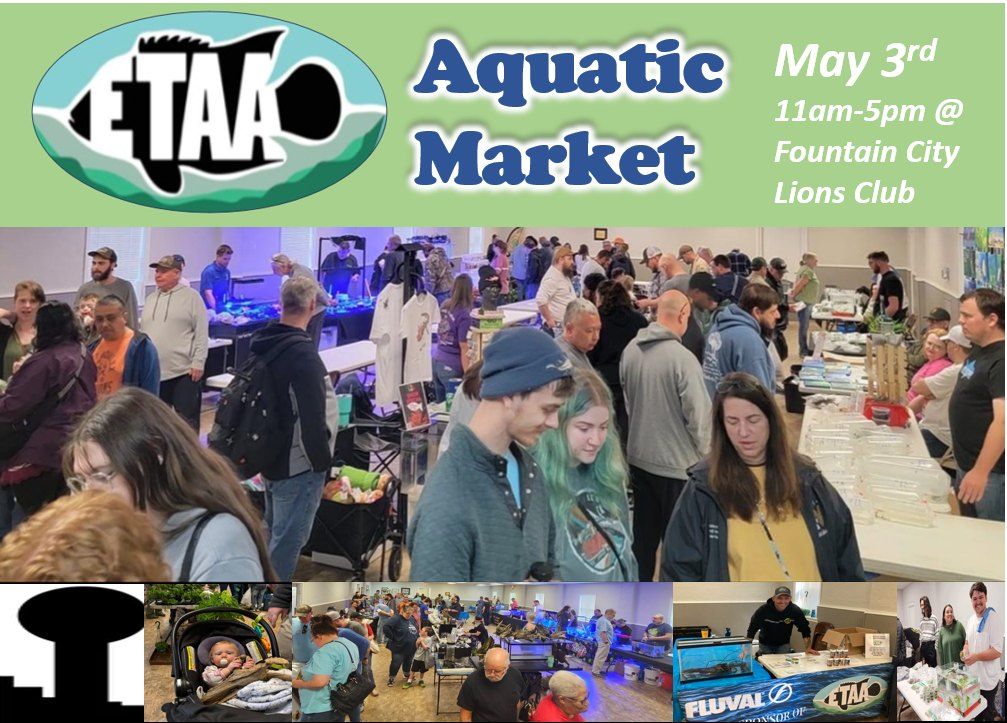 Spring Aquatic market by ETAA