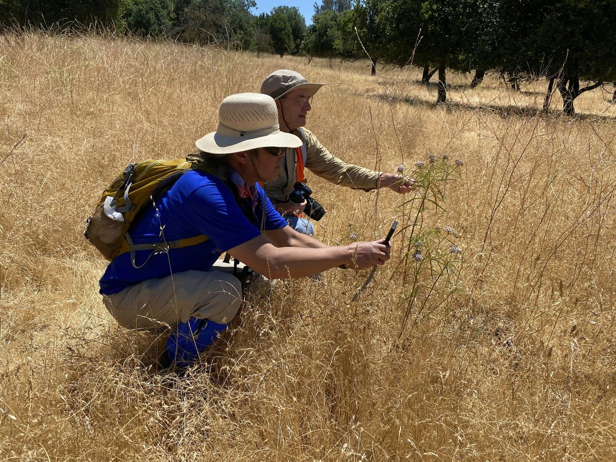 BioBlitz at Coyote Creek Visitor Center