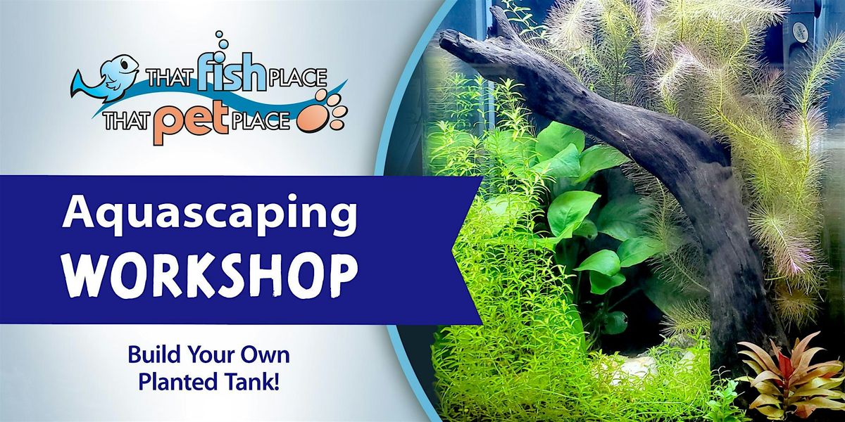 Aquascaping Workshop: Create an underwater garden