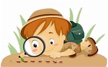 Dr Bell's Family Centre - Little Explorers Nov\/Dec 24