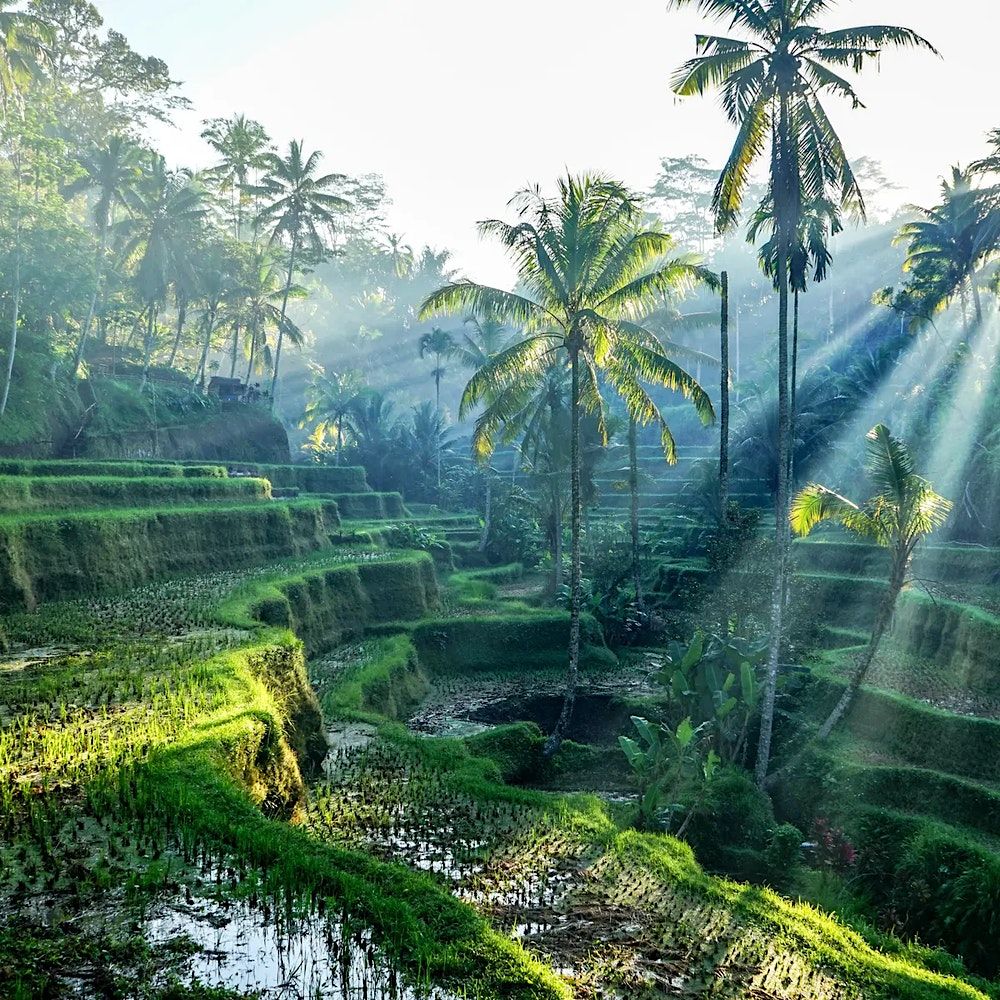 Bali: An Enchanted Journey