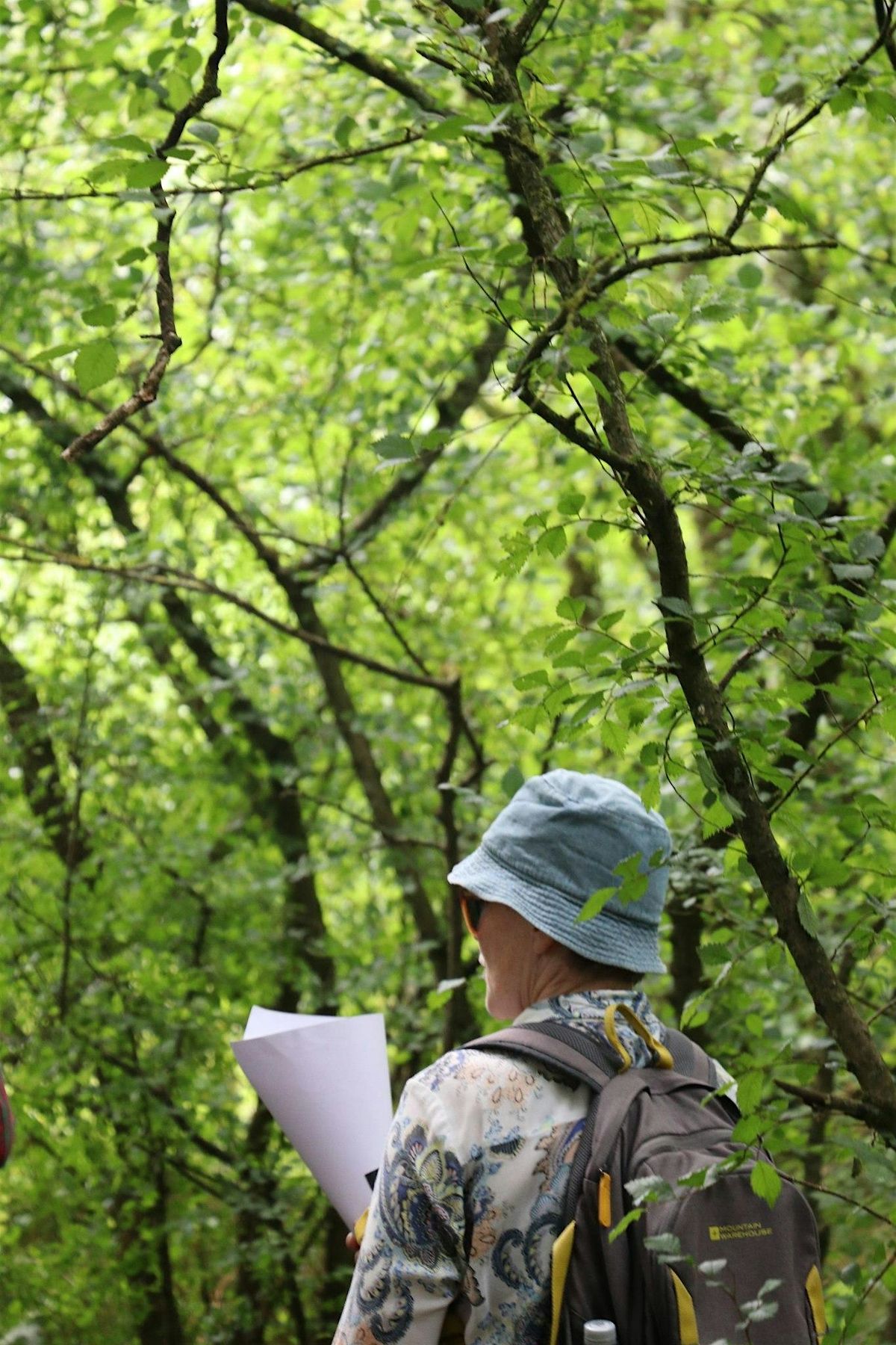 Sounding the Downs: Interactive Listening Walk - Hollingbury