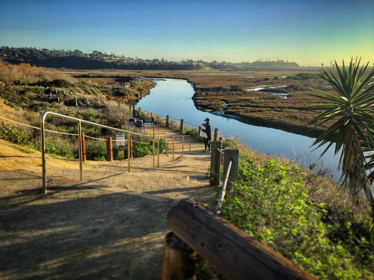 Bird Photography Workshop at San Elijo Lagoon