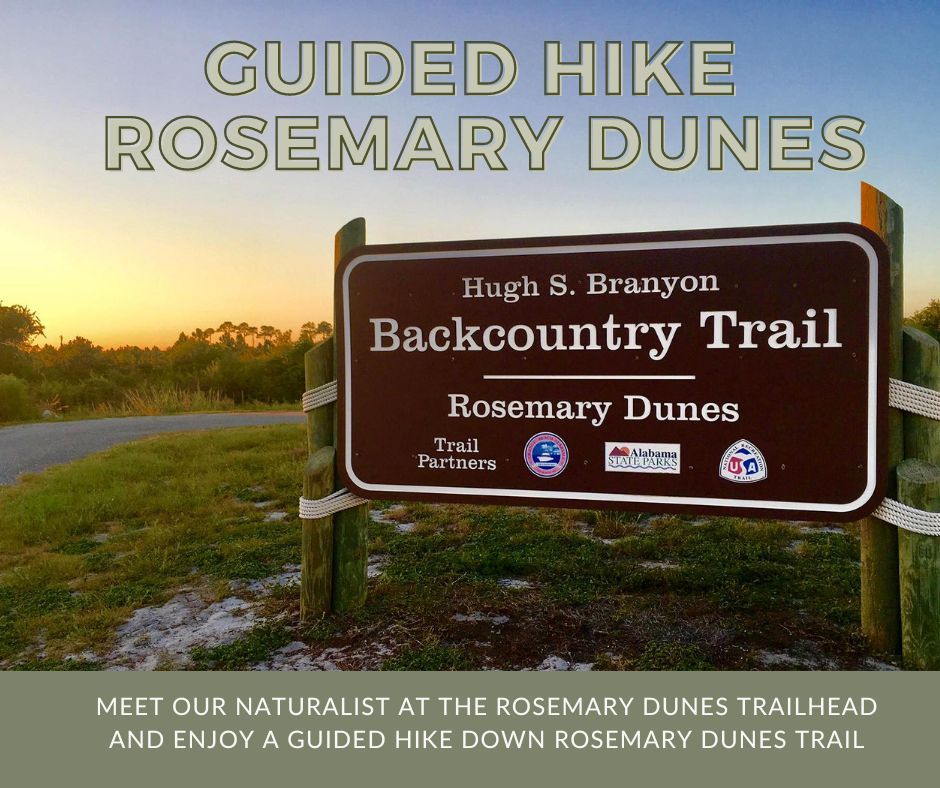 Guided Walk on Rosemary Dunes Trail