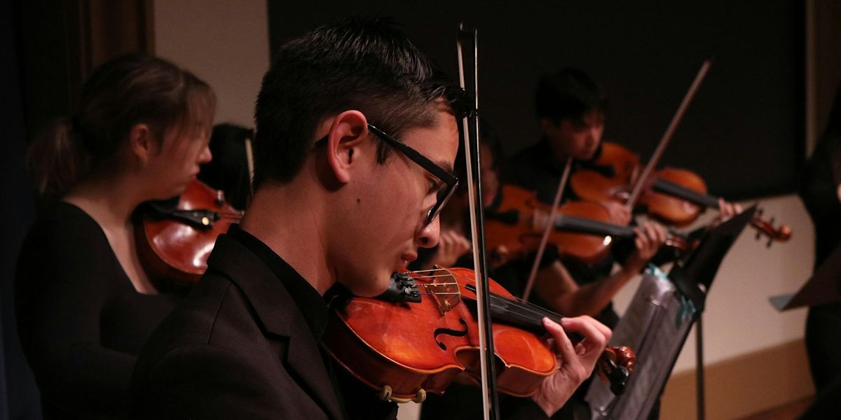 USD Strings | Winter Salon