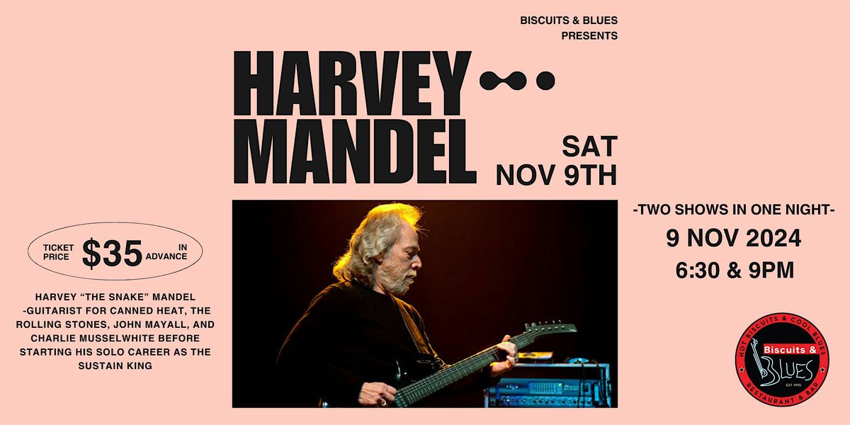 Harvey Mandel Live in San Francisco