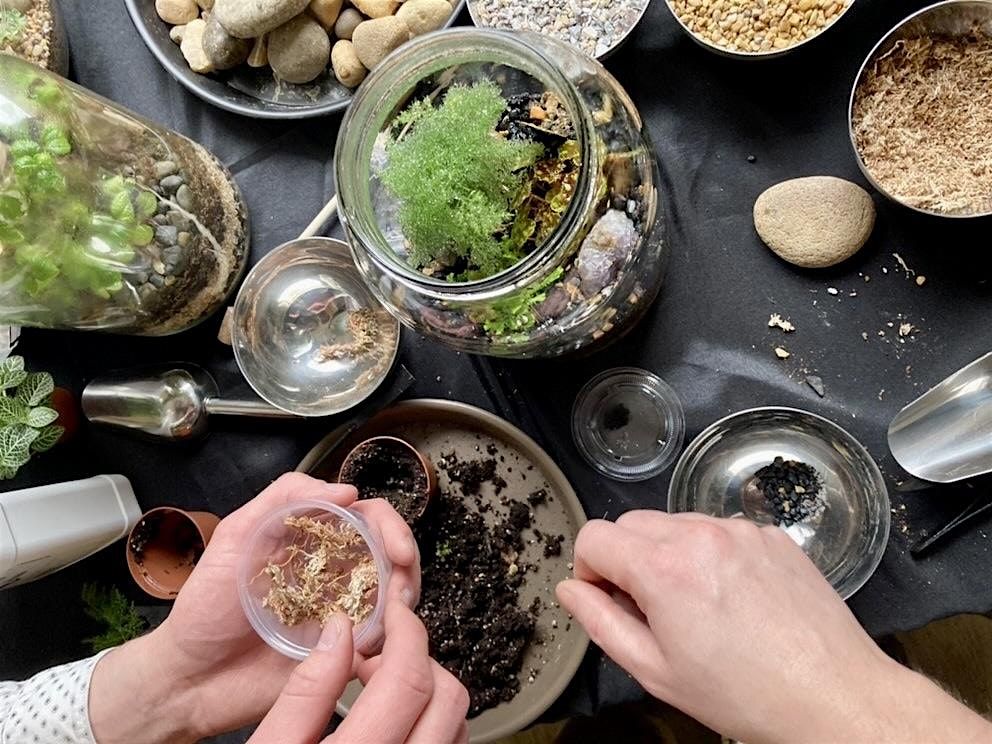 One Gallon BioActive Terrarium Workshop: Sunday September 29th , 10am-12pm